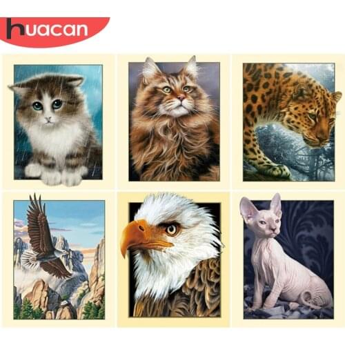 HUACAN DIY Pictures By Number Animal Kits Drawing On Canvas Painting By Numbers Owl Hand Painted Picture Art Gift Home Decor
