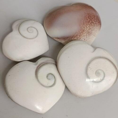 Natural Circular Sun Shell Fossil Crystal Specimens Polished Palm Love Heart Small Seashell Reiki Healing Cute Gifts