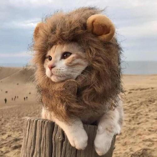 Cute Lion Halloween Cosplay Wild Lovely Cat Kitten Costume Wear Headgear Headdress Play Lovely Clothing Cotton