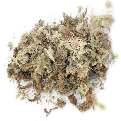 Water Moss Dry Moss Phalaenopsis Orchids Soilless Cultivation Substrate Soil 12L Compressed Pack #SW