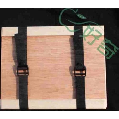 Plant specimen clip with Fasteners Specimen production free shipping