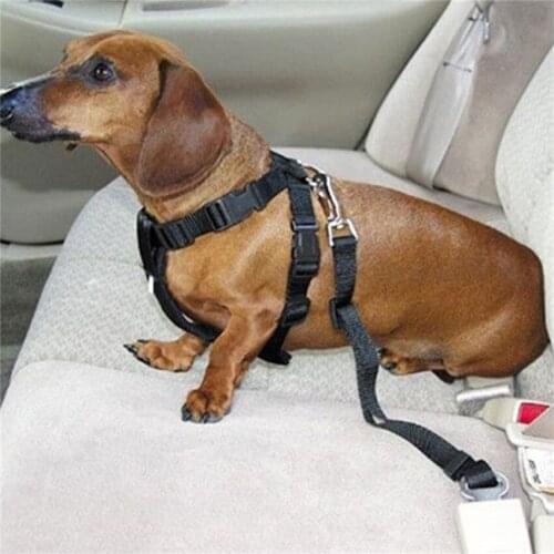 Car Pet Dog Seat Belt Pet Dog Leash Nylon Safe Puppy Car Seatbelt Harness Lead Clip Pet Dog Supplies Safety Lever Auto Traction