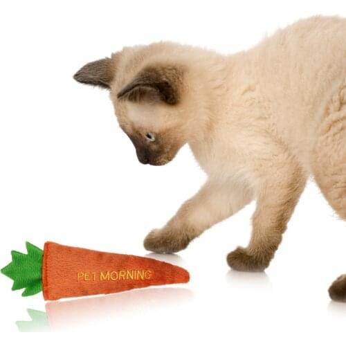 Legendog 4Pcs/Set Cat Toys Creative Carrot Eggplant Pepper Fish Shape Catnip Toy Cat Chew Toy Pet Supplies Cat Favors