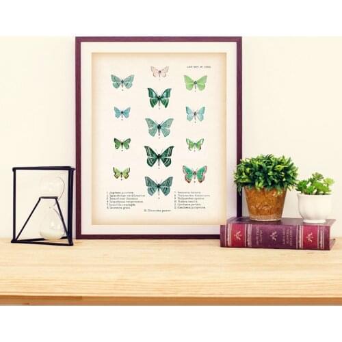 Green Butterflies Print Antique Butterfly Poster Vintage Entomology Scientific Chart Educational Wall Art Painting Decor