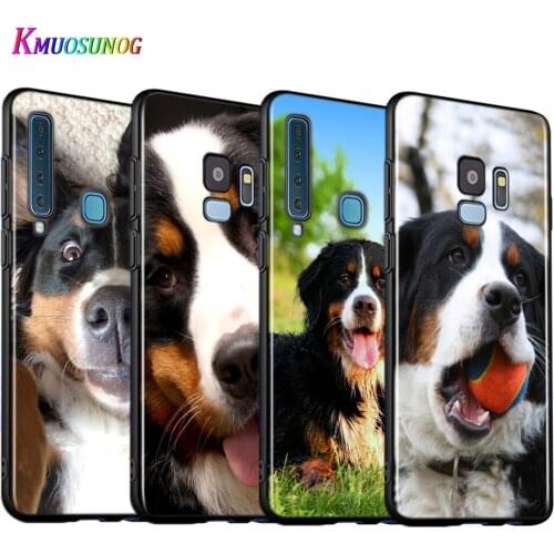 Animal Bernese Mountain Dog Silicone Cover For Samsung Galaxy A9 A8 A7 A6 A6S A8S Plus A5 A3 Star 2018 2017 2016 Phone Case