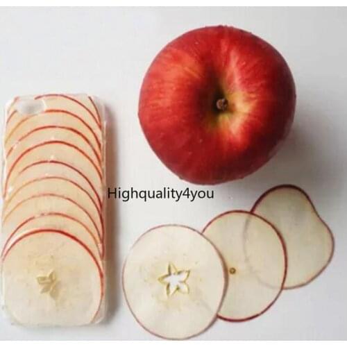 10pcs Dried Pressed Exopy Apple Fruit Slices Plant Herbarium For Jewelry Photo Frame Phone Case Craft DIY Making Accessories
