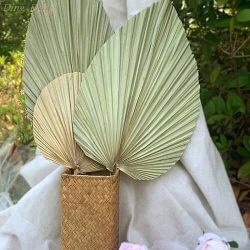 Palm Fan Leaf Dried Flower Palm Leaf Window Reception Party Wall Hanging Wedding