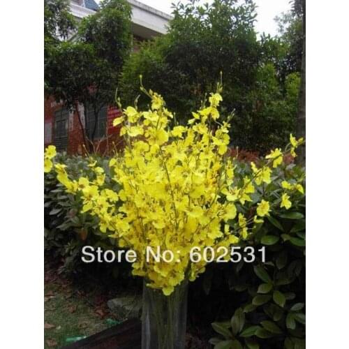 SPR HOT WEDDING FLOWER vine single SPRING orchid flowers mini butterfly orchid (100/lot),4color available FREE SHIPPING