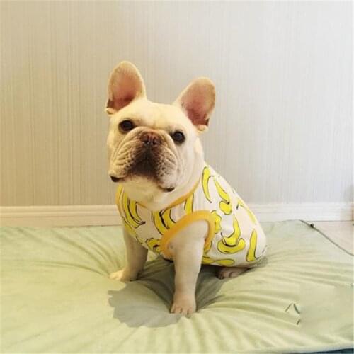 Traumdeutung Spring Summer Dogs Clothes Costume French Bulldog Clothing Coat For Pets Clothes Dog Clothing buldog francuski