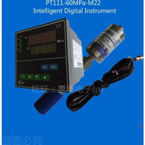 High temperature melt pressure sensor, PT111-60MPa-M22 high temperature melt pressure sensor + intelligent digital instrument