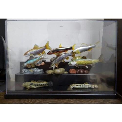 Figure toy gift three-dimensional artificial animal model - freshwater fish series 8pcs/set