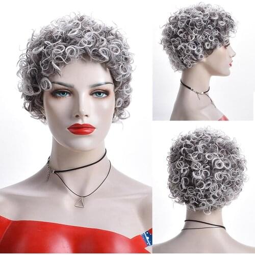Kinky Curly Afro Wig Gray Short Wigs for Women Gray Curly Everyday Womens Life Wig Synthetic Hair Wigs cosplay