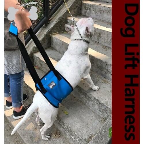 Old Age Dog Walking Auxiliary Belt Dog Hind Limb Joint Protection Belt Injured Disabled Dog Power Assisting Strap