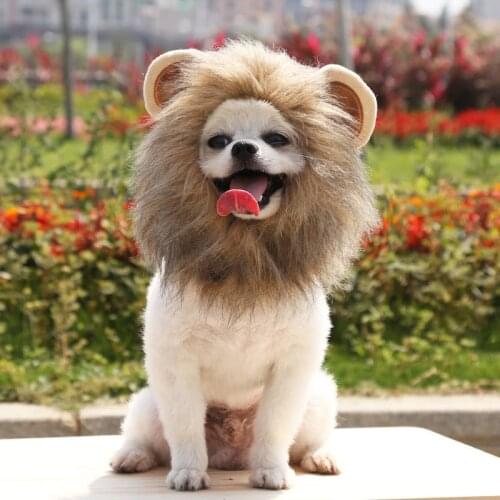 2021 Hot Sale Lion Ears Wig Cat and Dog Hat Pet Hat Velcro Adjustable Pet Wig Turn Into Hat Funny Hat Pet Clothes Funny Headgear