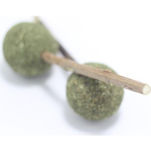 Natural Catnip Pet Cat Toy at Molar Toothpaste StickFruit Silvervine Cat Snacks Sticks Pet Cleaning Teeth Toy Cats Catnip Stick