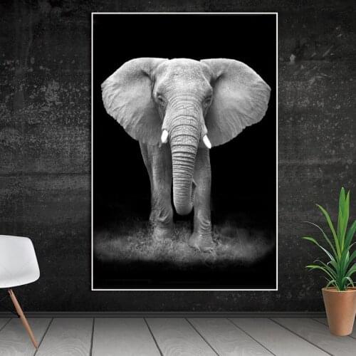 Wall art Animal Canvas Painting Poster Decor Wall Pictures Print on Canvas for Living Room Art Pictures Morden Black White Print