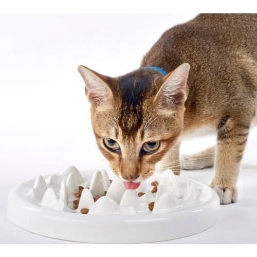 Pet Slow Feeder Bowls Cat Ceramic Fun Feeding Bowl Anti Choke Interactive Bloat Stop Puzzle Dog Puppy Bowl Healthy Eating Diet
