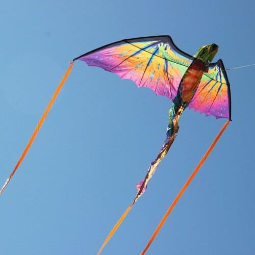 3D Pterosaur Kite flying dragon with long tails outdoor fun toys animal Dinosaur chameleon kite for kids children audlts