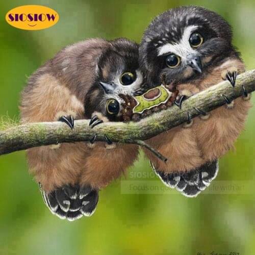 SIOSIOW 5d 3d Diy Full Square Drilling Diamond Painting Owls Tree Round Drill Diamond Embroidery Animals Cross Stitch Decor Room