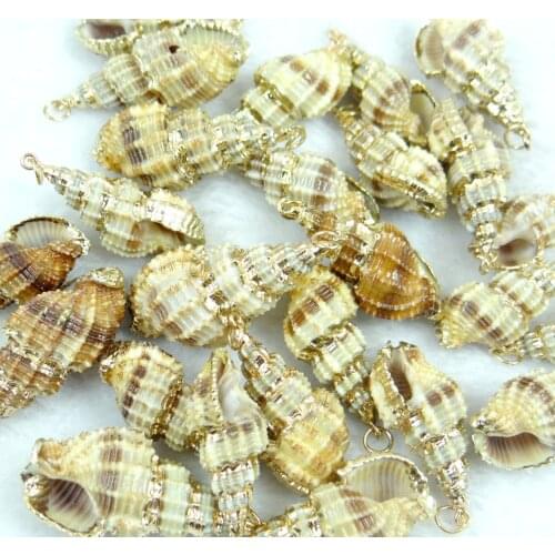 Natural Freshwater Shell Necklace Pendants For Jewelry Making Charms Pendants 5pcs 33*15MM about P364