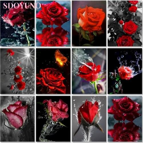 SDOYUNO 40x50cm DIY Painting by numbers Flower Red Rose coloring pictures by numbers On Canvas Room Decoration Frameless