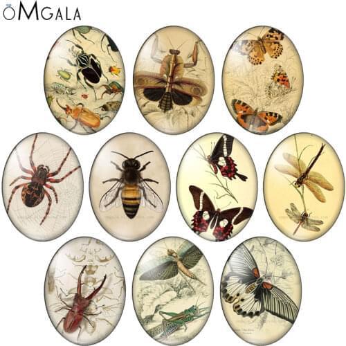 Vintage Butterfly dragonfly bee insect 10pcs 13x18mm/18x25mm/30x40mm Oval photo glass cabochon demo flat back Making findings