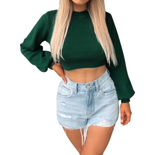 Autumn Long Sleeve Knitted Sweater Women Solid Color O Neck Casual Lantern Sleeve Short Tops