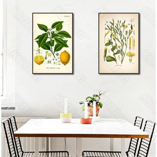 Cartoon Brief Type Lemon Blossom and Seed Wall Painting Posters and Murals In Nordic Style for Living Room and Decoration