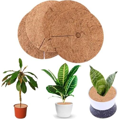 Flowerpot Mat Anti-Growth Grass Potted Ring Tree Protection Mat Coconut Flat Mat Ground Mat Gardening TN88
