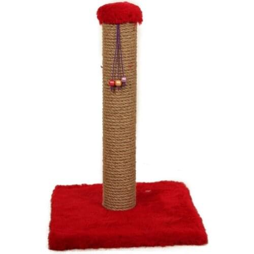 Single Bead Scratching Cat Enjoy Cute Sweet Helping Pretty Darling Melodious Gracious Adorable Nice Graceful Pet Nature