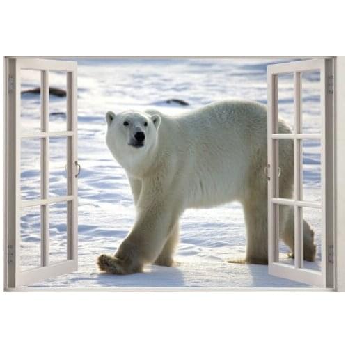 Polar Bear Window Art Film Print Silk Poster Home Wall Decor 24x36inch