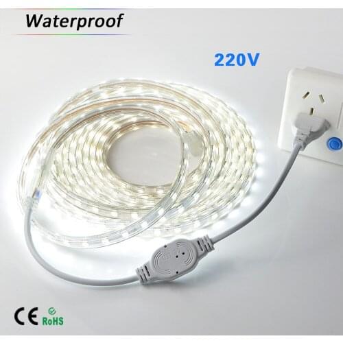 AC 220-230V led strip light waterproof 5050 ip65 ip67 cool white wame white red green blue red outdoor led tape rope with plug