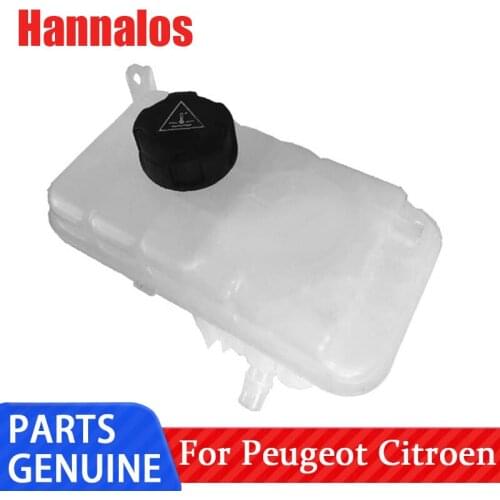 Suitable for Dongfeng Citroen C5 2.3C6 Peugeot 508 2.0 Antifreeze water bottle Coolant water tank auxiliary water bottle