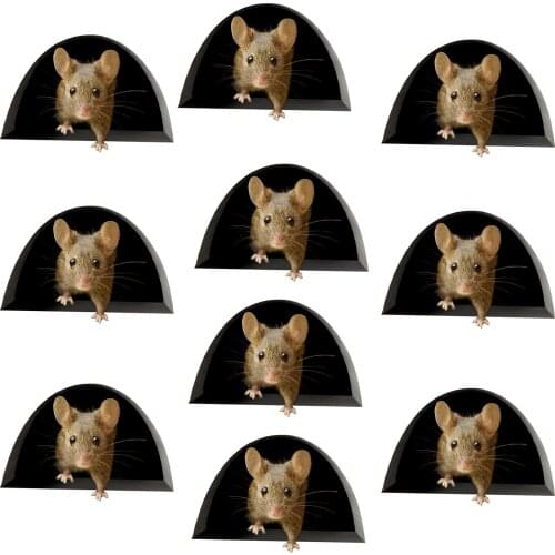 10PCS Miniature Mouse Hole Decal 3D Movable Wall Sticker