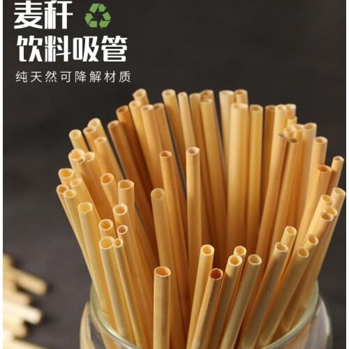 Natural straw thin straws environmentally friendly degradable straw bar creative disposable cold drink coffee juice small
