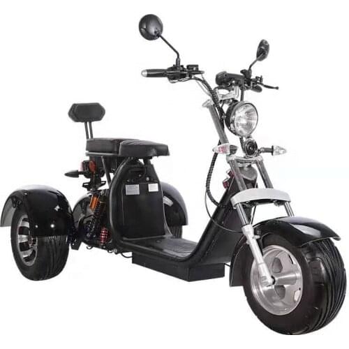 3 Wheel adult 18inch 60v 20ah 250cc 400cc electric motorcycle