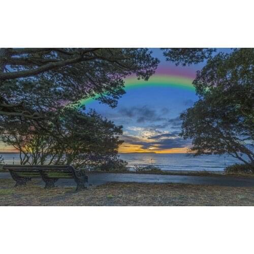 Rainbow Lake river tree photo studio background High quality Computer print scenic backdrop