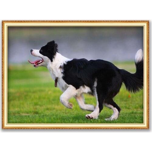 Animal Border Collie DIY 11CT Embroidery Cross Stitch Kits Craft Needlework Set Printed Canvas Cotton Thread Home Decoration Hot