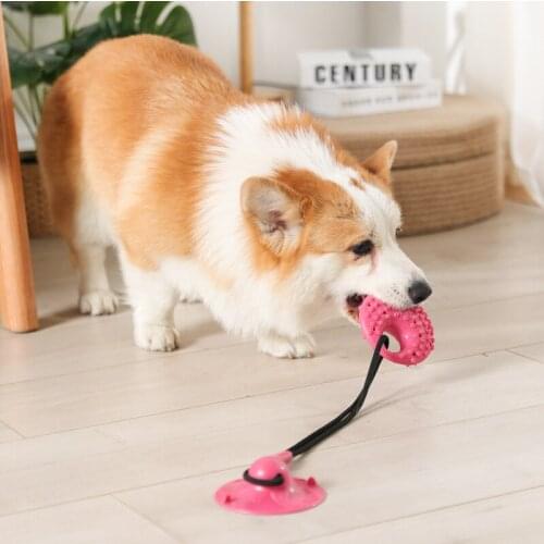 Interactive Chewer Rope Puzzle Pet Molar Bite Bell Squeaky Toys Pet Dog Chew Toy Suction Cup Toy for Tug Chewing Teeth Cleaning