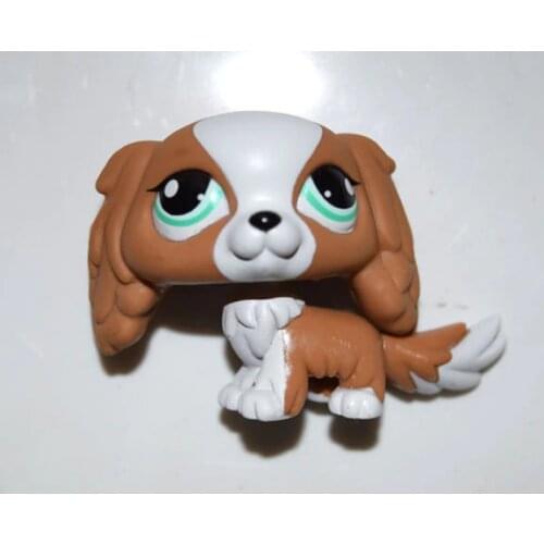 Pet Shop Animal Brown White Cyan Eyes King Charles Spaniel Dog Figure Toy