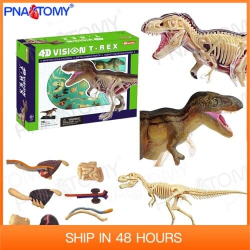 4D Dinosaur Toy Tyrannosaurus Model Dino Anatomy Skeleton DIY Toys Educational Gift STEM Equipment Detachable Master 26092