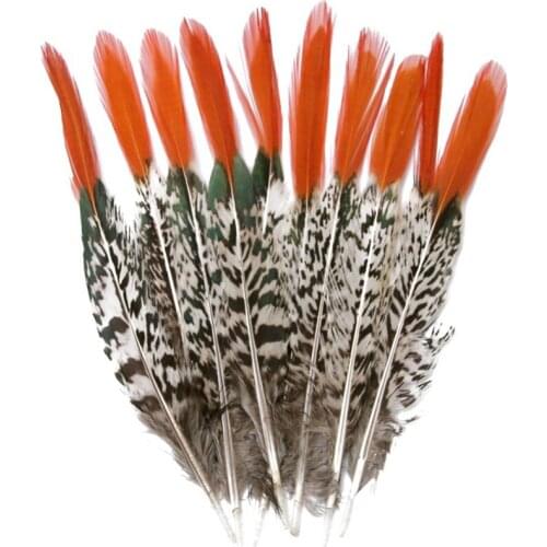 Natural Lady Amherst Pheasant Feathers Feathers for Crafts 5-30cm/2-12" Feathers Jewelry Making Wedding Carnival Plumes Plumas