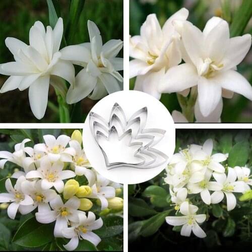 Large Stainless Steel Telosma Cordata Petal Cutter Designer DIY Polymer Clay Tools Cuttting Mold Maket Modelismo