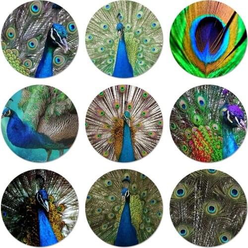 58mm Peacock feather Icons Pins Badge Decoration Brooches Metal Badges For Clothes Backpack Decoration