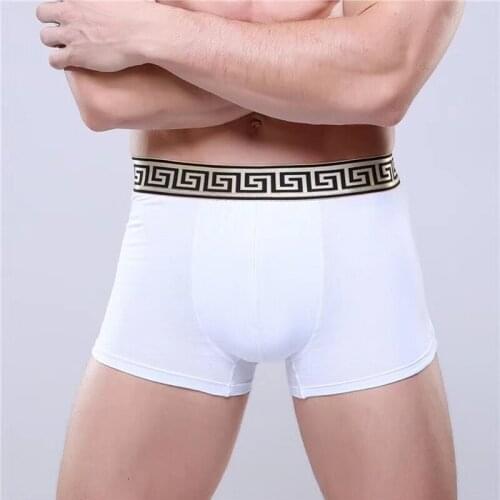 1pcs High-end Mens Cotton Boxer Briefs Sexy Business Casual Four-corner Short Briefs Burst Style Exotic Dropshipping