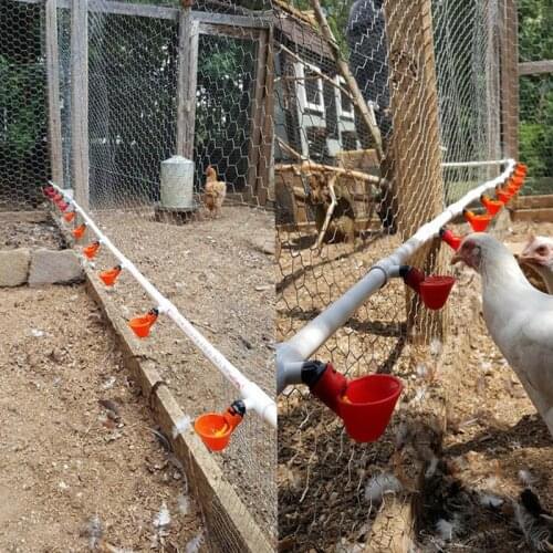 30 Pcs Poultry Feeding Chicken Quail Automatic Drinking Bowl Yellow Nipple Farm Poultry Drinking Water System poultry farming
