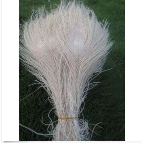 Free shipping wholesale high quality 50pcs Rare beige natural peacock feather 25-30cm / 10-12inch decorative diy