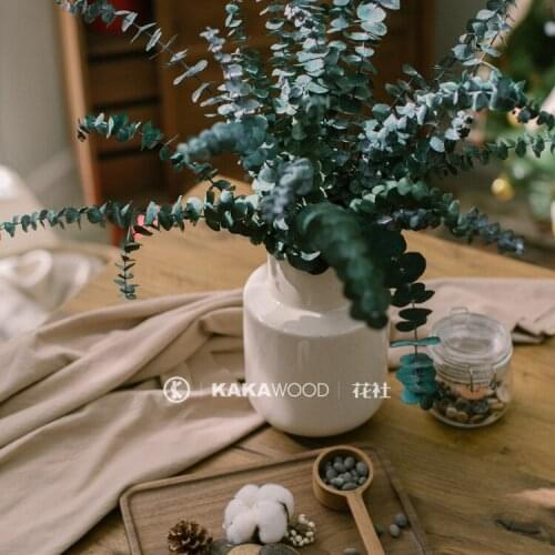 Northern European-Style Home Soft Decorations Natural Plant Dried Flowers Dried Fruit Design Floral Non-Dry Eternal