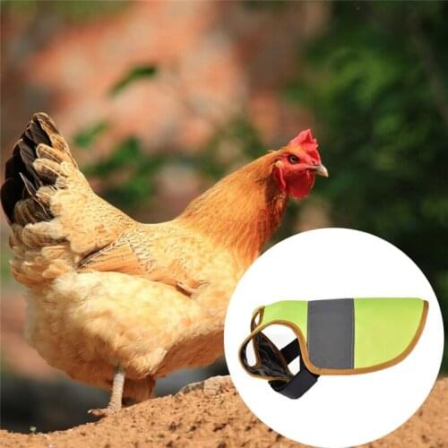 Pet Reflective Vest Chicken Clothes Poultry Hen Saddle Apron Feather Protection Holder For Pets Chicken Duck