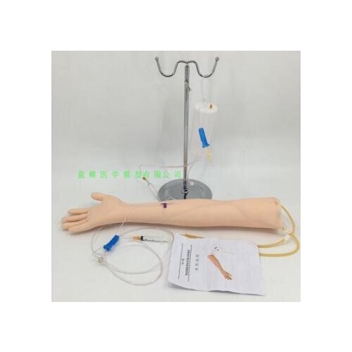 Advanced arm venipuncture training model Included infusion support